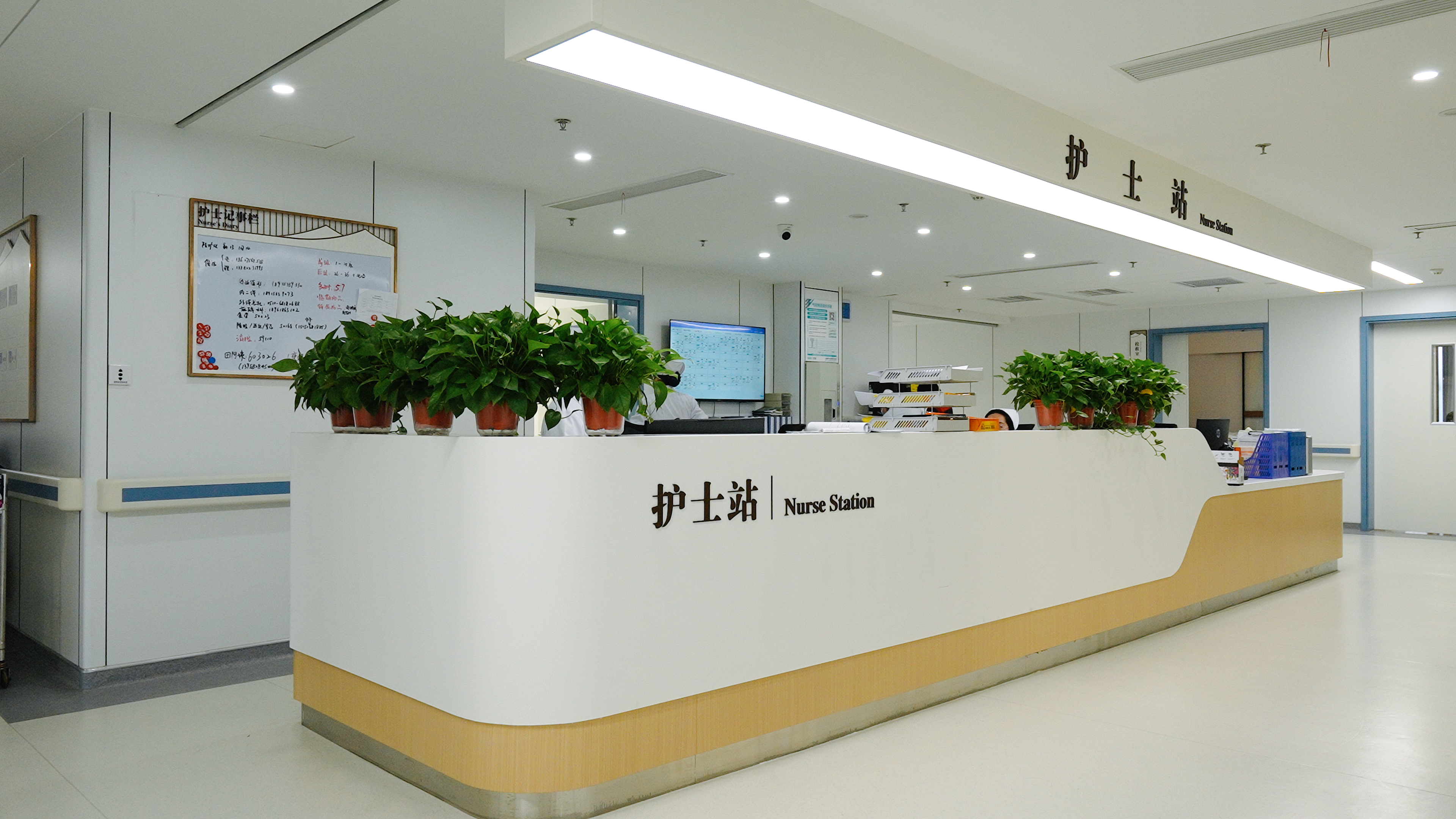 Traditional Chinese Medicine Hospital